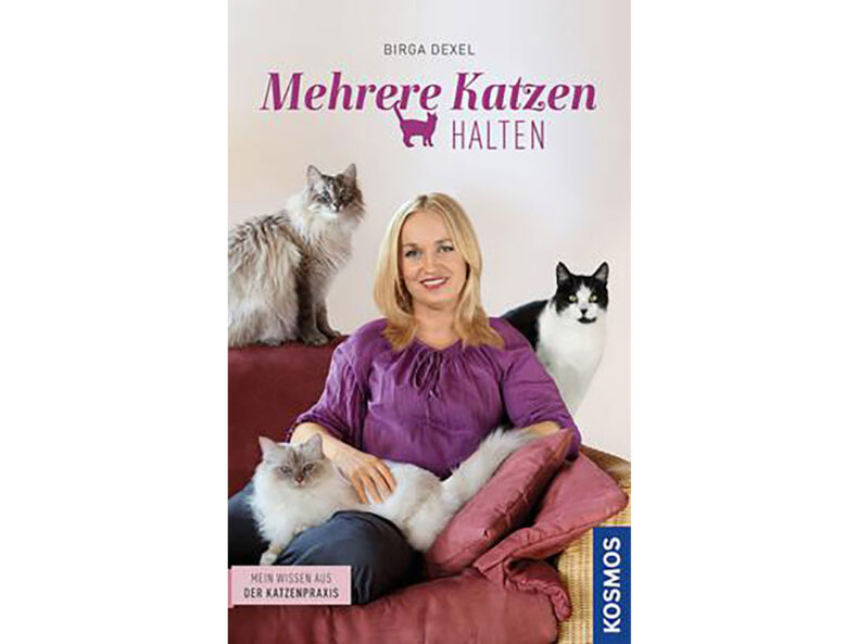 Mehrkatzenhaushalt