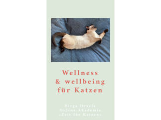 Wellness & Well-being für Katzen